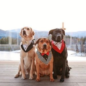 Tail Trends Dog Bandana With Red Bow Tie